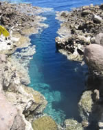 El Bells